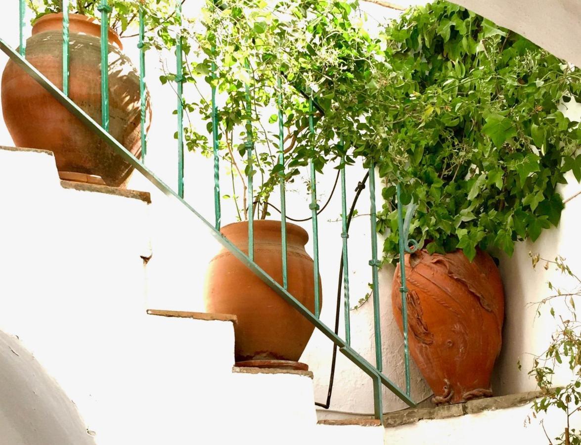Willa Casa Del Patio Arabe Casas Vejer Debra Vejer de la Frontera Zewnętrze zdjęcie